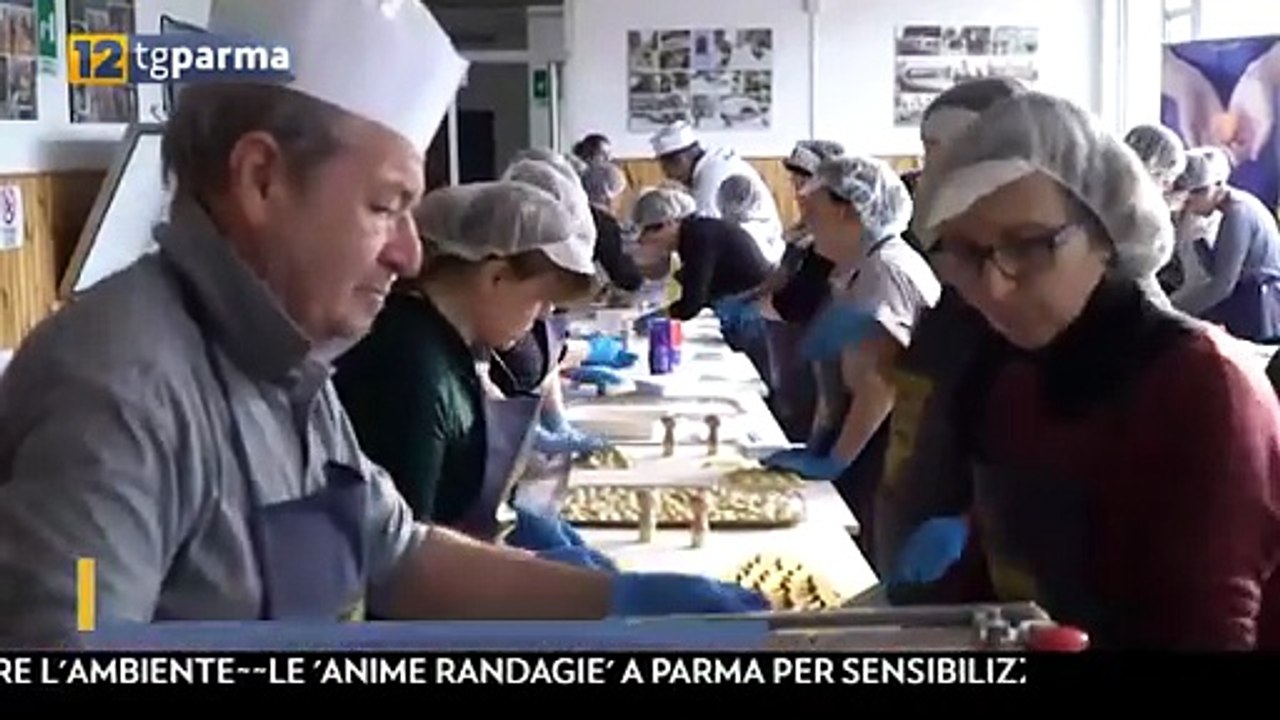 anolini solidali