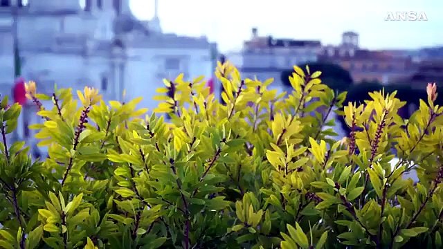 Tabacco: da Bat un'app contro il contrabbando