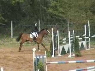 CCE Grand Prix de Périgueux 2004/Idole et Arthur Breuil