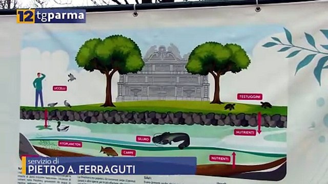 PARCO DUCALE, DOPO I LAVORI È COMINCIATO IL RIEMPIMENTO DEL LAGHETTO | PARCO DUCALE, DOPO I LAVORI È COMINCIATO IL RIEMPIMENTO DEL LAGHETTO