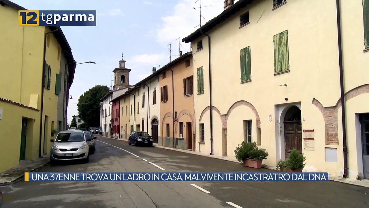 UNA 37ENNE TROVA UN LADRO IN CASA, MALVIVENTE INCASTRATRO DAL DNA | UNA 37ENNE TROVA UN LADRO IN CASA, MALVIVENTE INCASTRATRO DAL DNA