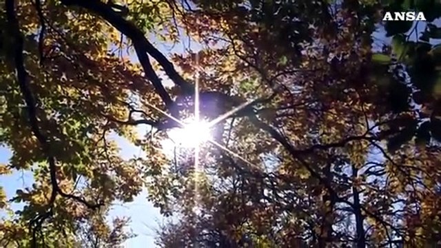 Il 2019 chiude decennio piu' caldo di sempre in Italia
