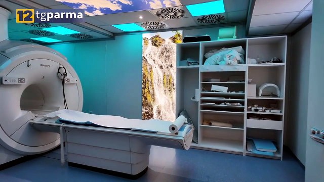 SALUTE IN PRIMO PIANO: DOLORE ADDOMINALE, CAUSE E DIAGNOSI RADIOLOGICA | SALUTE IN PRIMO PIANO: DOLORE ADDOMINALE, CAUSE E DIAGNOSI RADIOLOGICA