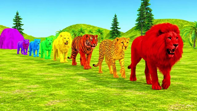 Paint Animals Lion Tiger Cheetah Cartoon Big Cats Fountain Crossing Animal Cartoon