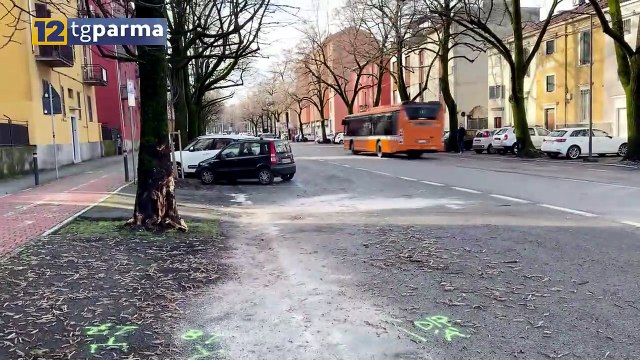 TRAGICO INCIDENTE IN VIALE MENTANA: 33ENNE DECEDUTO | TRAGICO INCIDENTE IN VIALE MENTANA: 33ENNE DECEDUTO