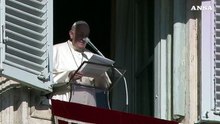 Papa: "Perso pazienza, chiedo scusa per cattivo esempio"