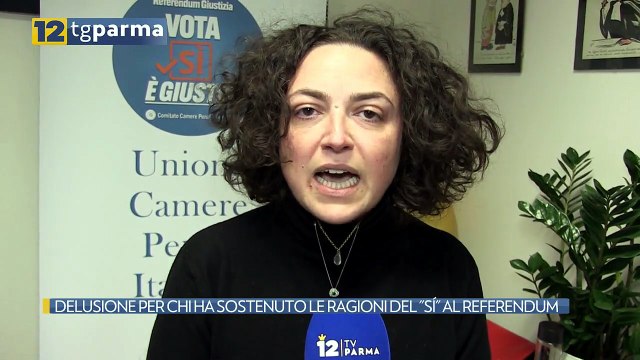 DELUSIONE PER CHI HA SOSTENUTO LE RAGIONI DEL SÍ AL REFERENDUM | DELUSIONE PER CHI HA SOSTENUTO LE RAGIONI DEL SÍ AL REFERENDUM