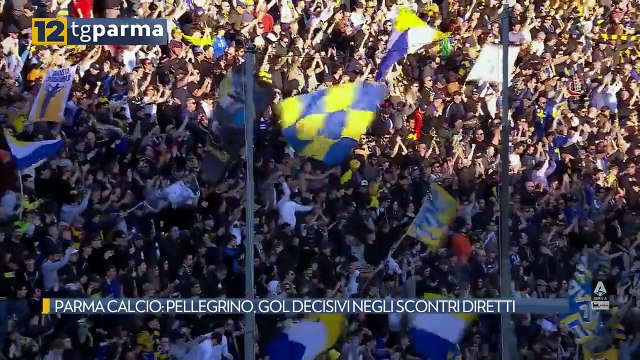 PARMA CALCIO: PELLEGRINO, GOL DECISIVI NEGLI SCONTRI DIRETTI | PARMA CALCIO: PELLEGRINO, GOL DECISIVI NEGLI SCONTRI DIRETTI