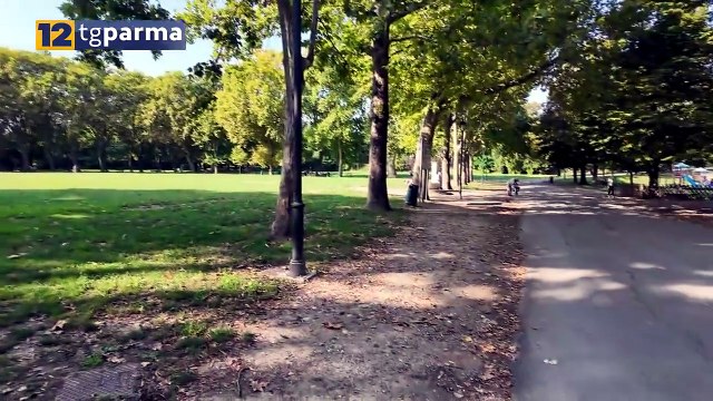 GESTIONE VERDE PUBBLICO A PARMA: 1.800 NUOVI ALBERI E SFALCI MIRATI | GESTIONE VERDE PUBBLICO A PARMA: 1.800 NUOVI ALBERI E SFALCI MIRATI