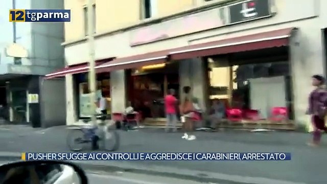 PUSHER SFUGGE AI CONTROLLI E AGGREDISCE I CARABINIERI, ARRESTATO