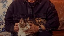 David Baddiel: Cat Man - Season 1 - Episode 03