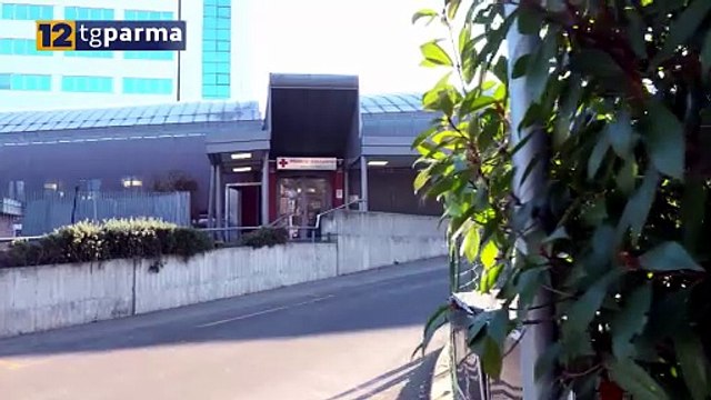 INCIDENTE SULL’ASOLANA, 25ENNE IN RIANIMAZIONE. INIZIO 2026 NERO SULLE STRADE | INCIDENTE SULL’ASOLANA, 25ENNE IN RIANIMAZIONE. INIZIO 2026 NERO SULLE STRADE