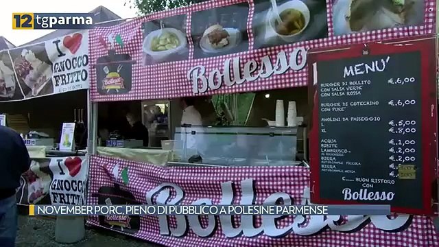 NOVEMBER PORC, PIENO DI PUBBLICO A POLESINE PARMENSE