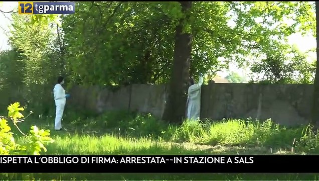TG Parma Edizione del 08-04-2026 ore 12:45 | TG Parma Edizione del 08-04-2026 ore 12:45