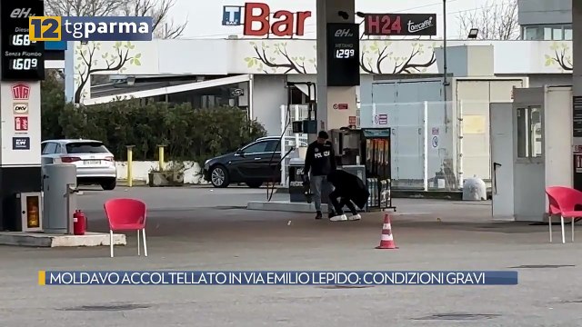 MOLDAVO ACCOLTELLATO IN VIA EMILIO LEPIDO: CONDIZIONI GRAVI | MOLDAVO ACCOLTELLATO IN VIA EMILIO LEPIDO: CONDIZIONI GRAVI