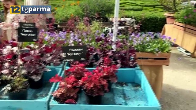 A COLORNO NEL SEGNO DEL GIGLIO DAL 24 AL 26 APRILE | A COLORNO NEL SEGNO DEL GIGLIO DAL 24 AL 26 APRILE