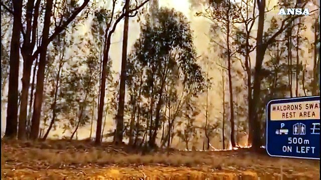 Australia, residenti e turisti in fuga per gli incendi