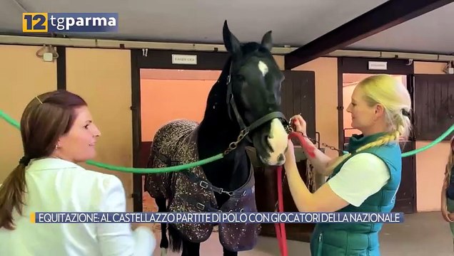 EQUITAZIONE: AL CASTELLAZZO PARTITE DI POLO CON GIOCATORI DELLA NAZIONALE | EQUITAZIONE: AL CASTELLAZZO PARTITE DI POLO CON GIOCATORI DELLA NAZIONALE
