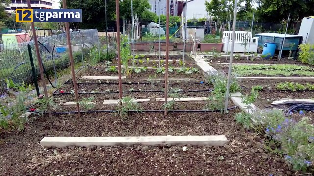 12TVPARMA, 'SENZA BARRIERE' ALLE 18.35 E DOMANI ALLE 13.15 DOPO IL TG | 12TVPARMA, 'SENZA BARRIERE' ALLE 18.35 E DOMANI ALLE 13.15 DOPO IL TG