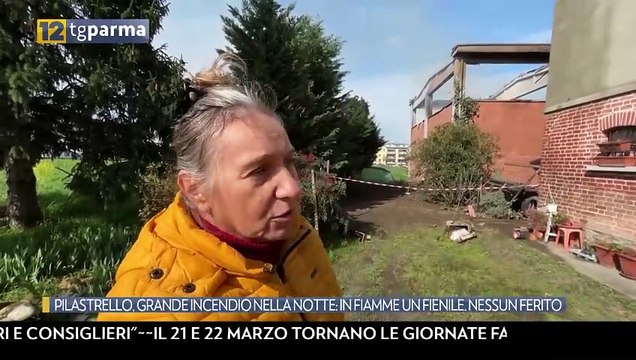 TG Parma Edizione del 15-03-2026 ore 12:45 | TG Parma Edizione del 15-03-2026 ore 12:45
