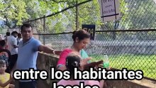 Búfalo albino se salva de sacrificio por su parecido con Donald Trump