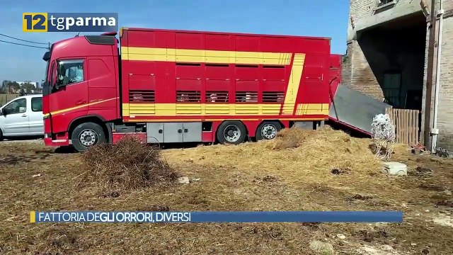 FATTORIA DEGLI ORRORI, DIVERSI ANIMALI TRASFERITI IN STRUTTURE PROTETTE | FATTORIA DEGLI ORRORI, DIVERSI ANIMALI TRASFERITI IN STRUTTURE PROTETTE