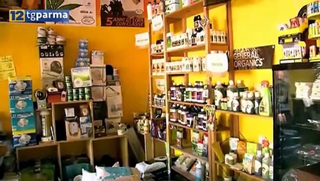 CANNABIS LIGHT, OPERAZIONI DELLA POLIZIA NEI NEGOZI DI PARMA