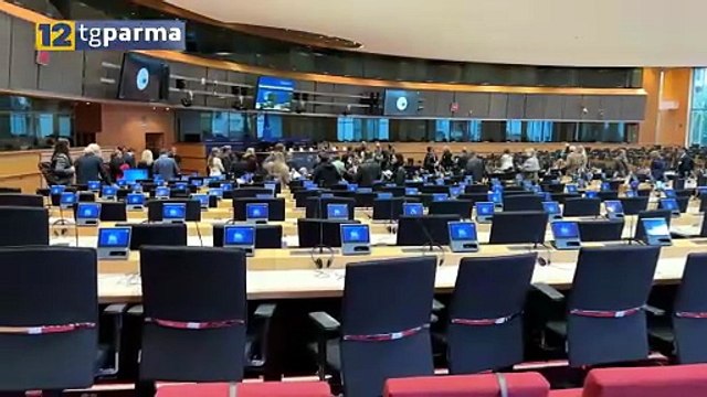 PANS PANDAS, DA PARMA UN APPELLO AL PARLAMENTO EUROPEO | PANS PANDAS, DA PARMA UN APPELLO AL PARLAMENTO EUROPEO