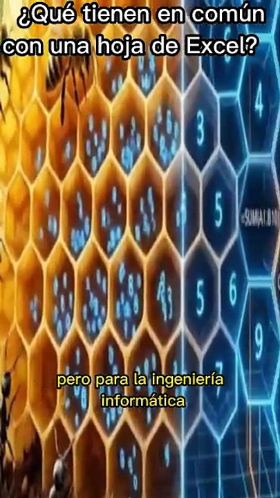La red secreta: del hormiguero a Excel