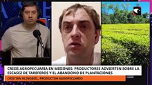 Productores advierten sobre la escasez de tareferos y el abandono de plantaciones