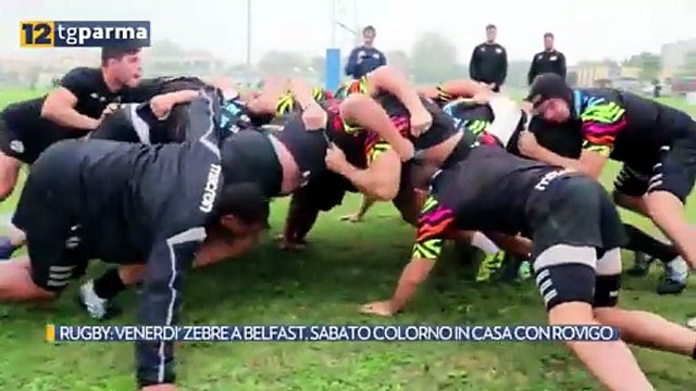 RUGBY: VENERDI' ZEBRE A BELFAST, SABATO COLORNO IN CASA CON ROVIGO