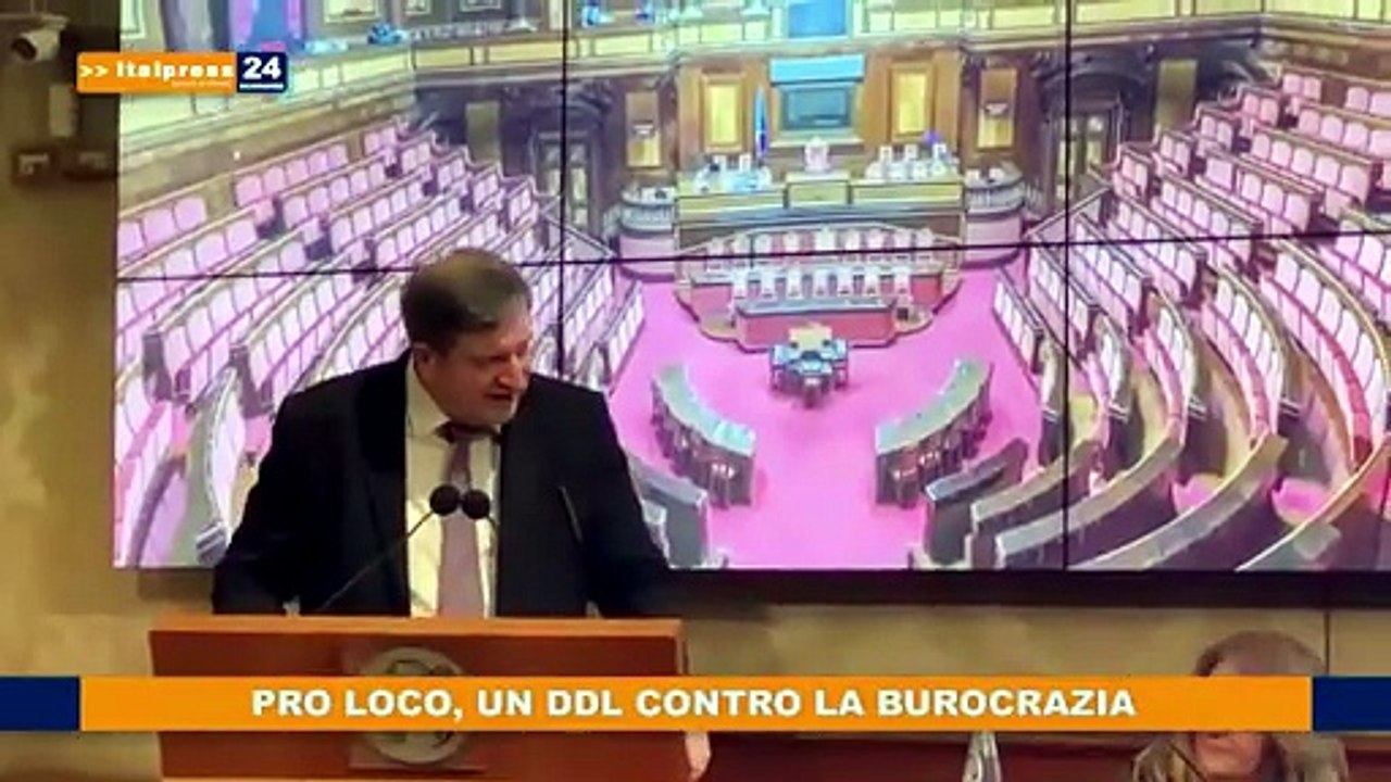 tg economia  11 fe
