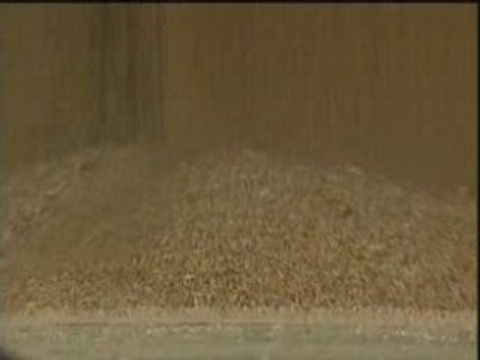 Le prix du blé
