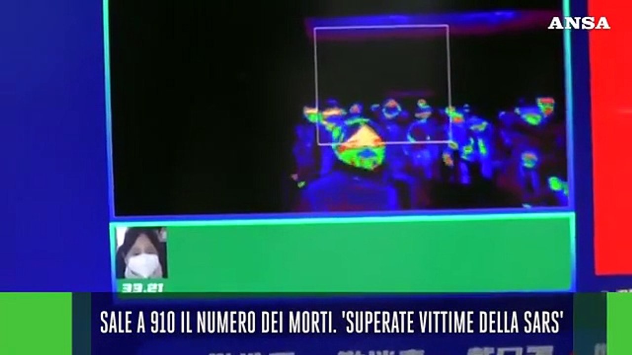 Ansa Live ore 8