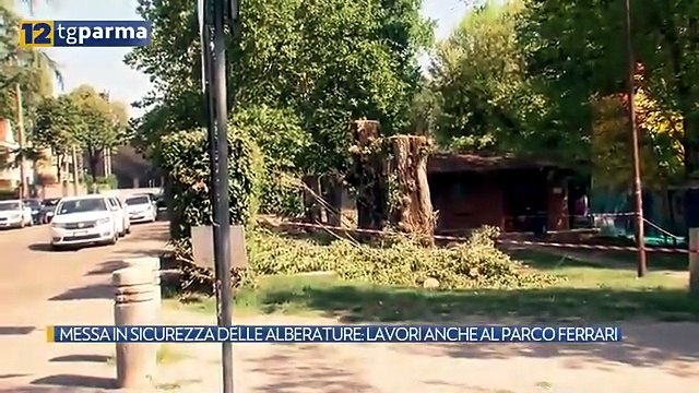MESSA IN SICUREZZA DELLE ALBERATURE: LAVORI ANCHE AL PARCO FERRARI