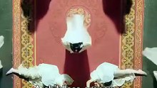 The Empress Who Bore Kittens - Drama Movie   Fantasy Palace Romance, Royal Mystery, Short Drama - ENGSUB