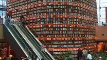 What's Inside? Exploring Seoul’s Massive 50,000-Book Sanctuary  ​#StarfieldLibrary ​#SeoulKorea ​#CoexStarfieldLibrary ​#StarfieldLibrarySeoul ​#Gangnam