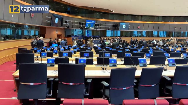PANS PANDAS, DA PARMA UN APPELLO AL PARLAMENTO EUROPEO | PANS PANDAS, DA PARMA UN APPELLO AL PARLAMENTO EUROPEO