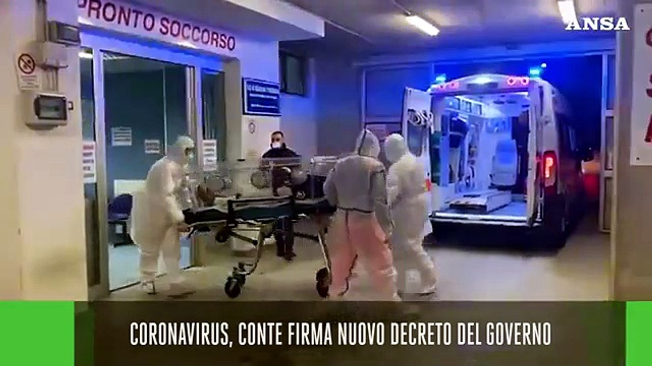 Ansa Live ore 8