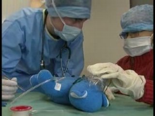 Les docteurs Nounours