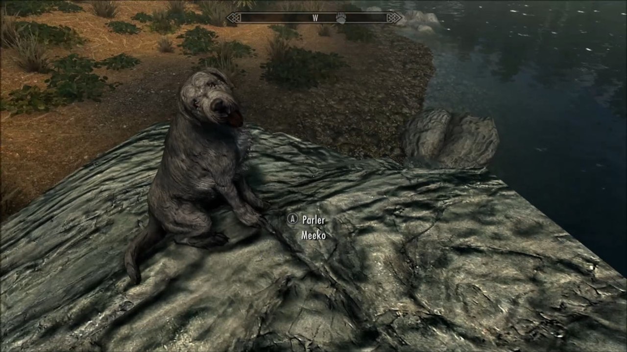 Skyrim mod@_2 Dog Textures & Sounds - Inclus Mods Pack