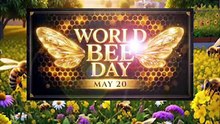 VID-20260521