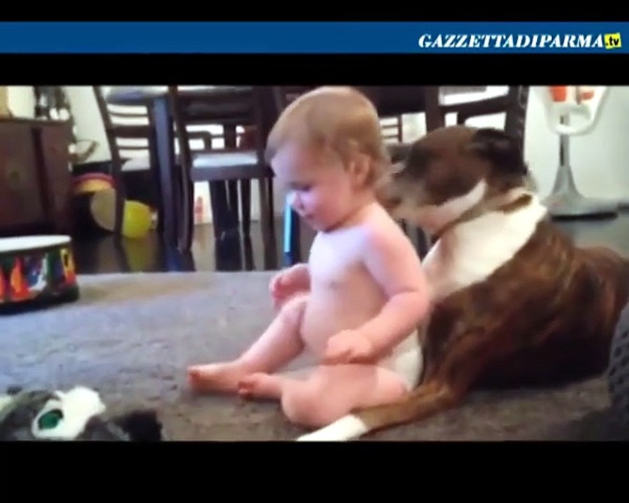 Bimbo leccato dal cane