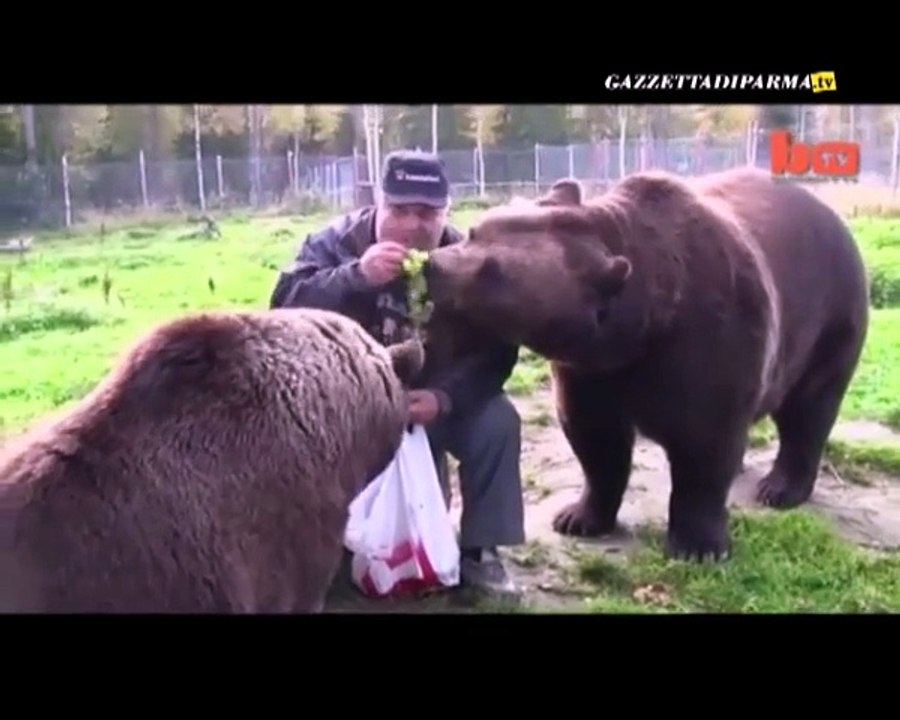 PROVA.TV