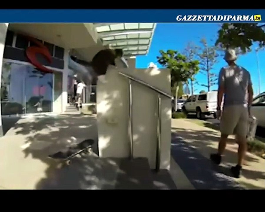 Un gatto acrobata