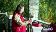 Taskmaster AU S03E02