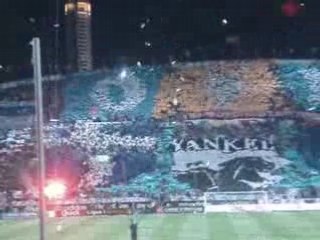 Aulas on t'encule.aux armes.animation virage nord