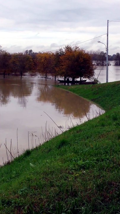 Piena del Po a Roccabianca