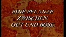 Doku Eine Pflanze zwischen gut und Böse Film  deutsch