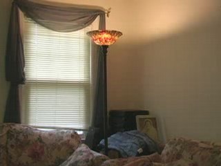 If My Furniture Could Talk-ForRent.com